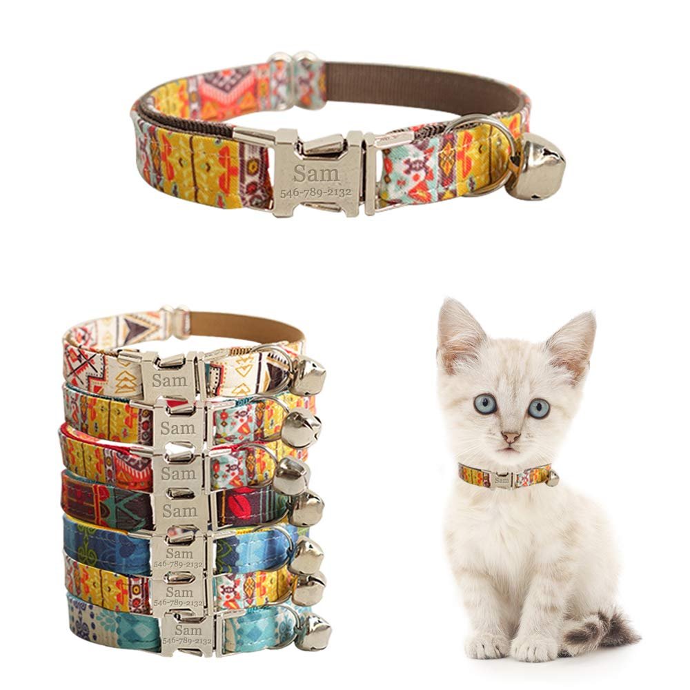 Gatos callejeros con collar identificativo
