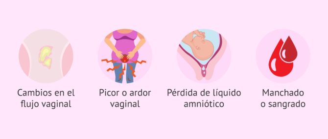 Flujo vaginal durante el embarazo normal