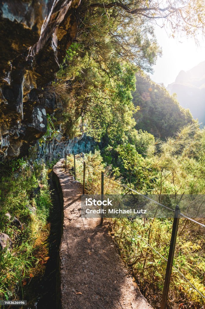 Sendero empinado en medio de la naturaleza