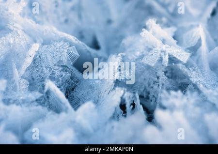 Cristales de nieve en primer plano