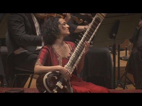 Sitares tocando música india en concierto