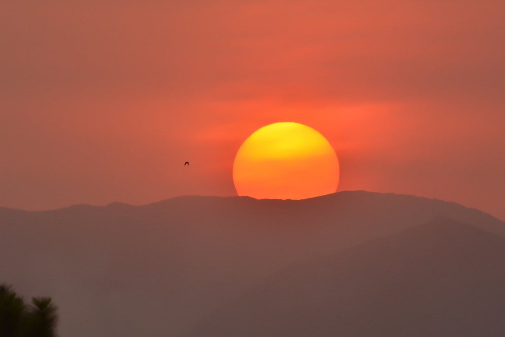 14698554133 58887fa50f b