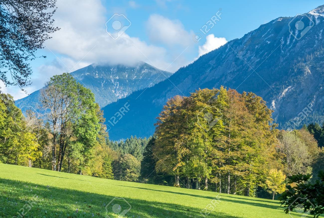 68221909 hermoso paisaje en alemania arbol verde en el bosque montanas bajo el cielo azul nublado