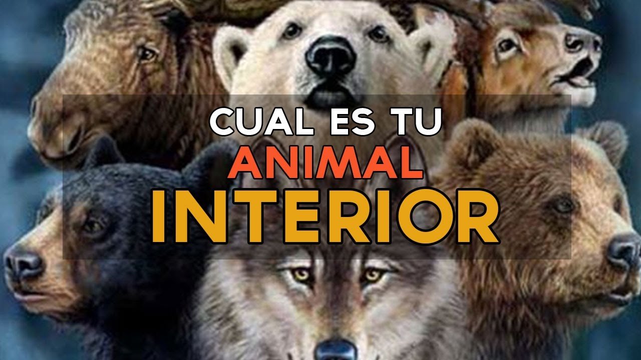 animal interior