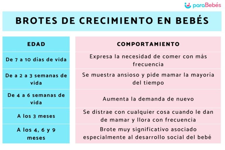 Qué Es el Primer Brote de Crecimiento y Cómo Identificarlo