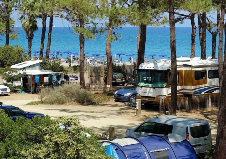 Qué actividades y servicios ofrece el Camping San Nicolás Vaqueros