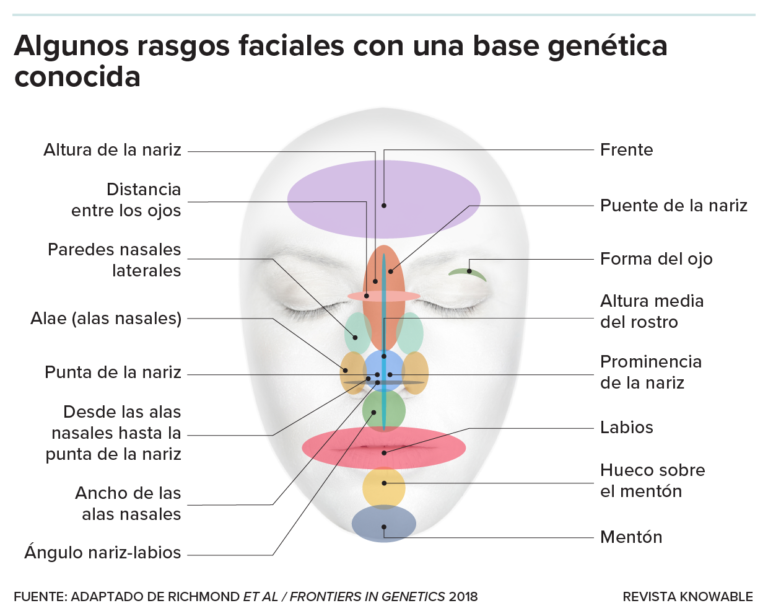 A Quién Te Pareces Según Tu Cara Haz Este Test y Descúbrelo