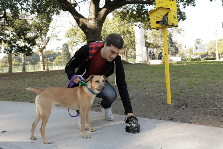 Dónde ir con mi perro en Buenos Aires