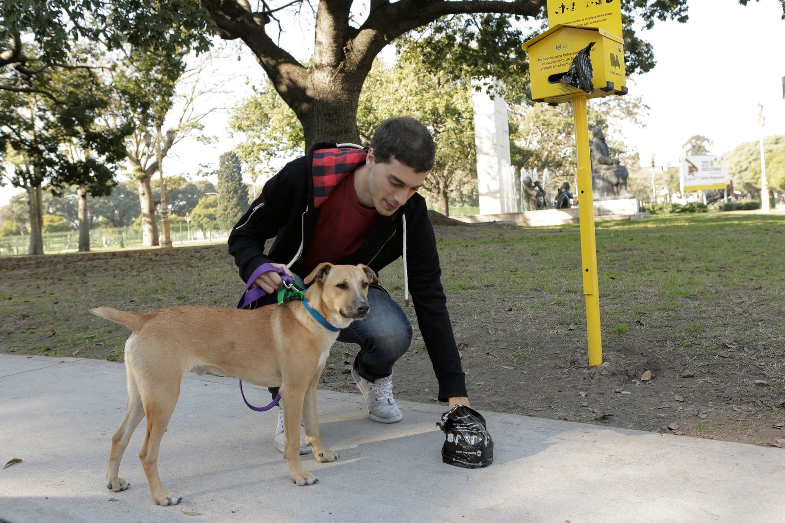 dad05477d1bb3b04119eacbab8d7c971202a20e9