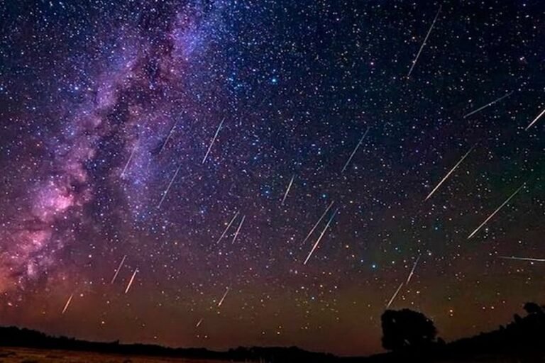 Cuándo se vio el cometa Halley en Argentina