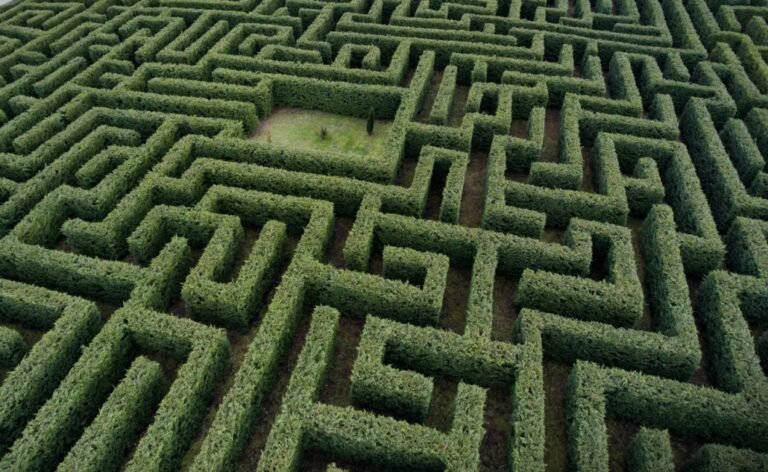 Qué nos enseña el laberinto de Borges según Mendoza