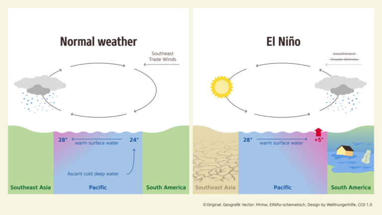 Qué aprende el niño en el cuento «El niño que quería saber»