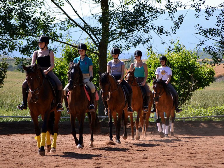 Qué ofrece la escuela de equitación Hipocampo para aprender a montar
