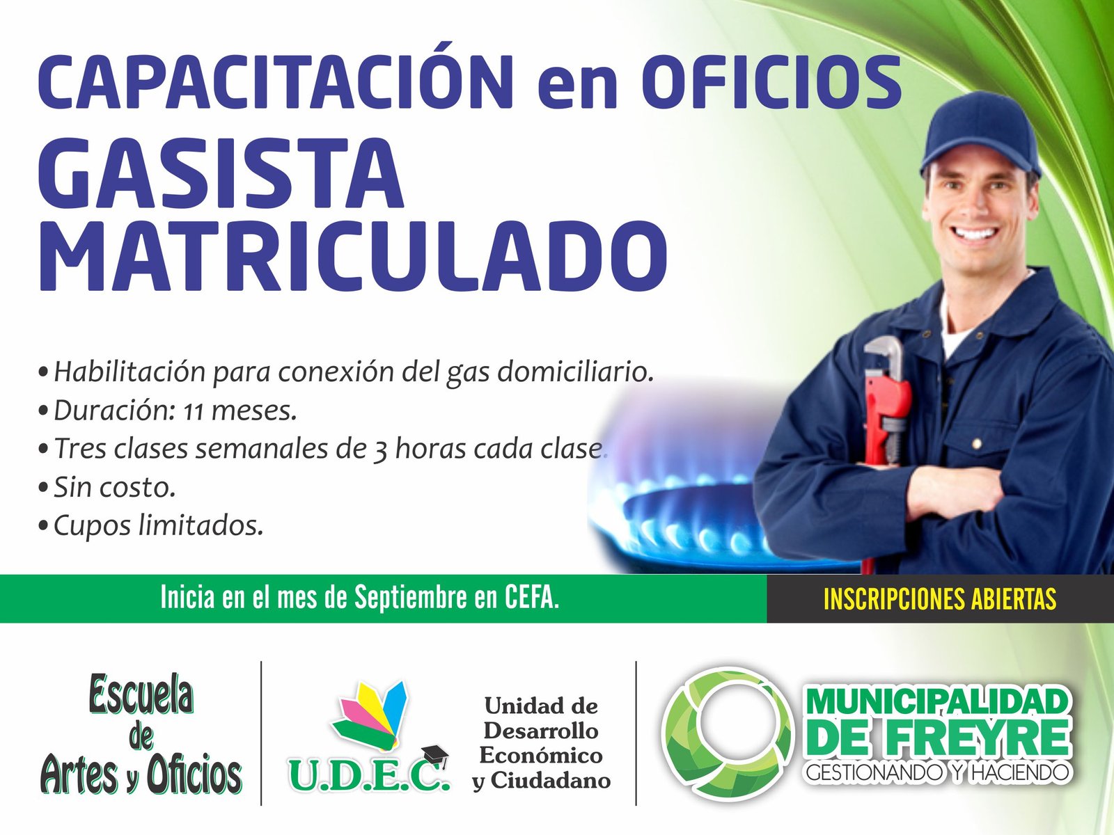 gasista matriculado 1