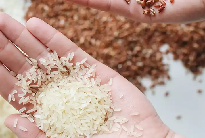 Cómo preparar comida rica, fácil y rápida en pocos pasos