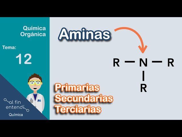Qué son las aminas primarias, secundarias y terciarias en química