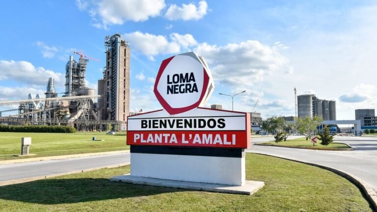 Qué características y precios tiene la bolsa de cemento Loma Negra