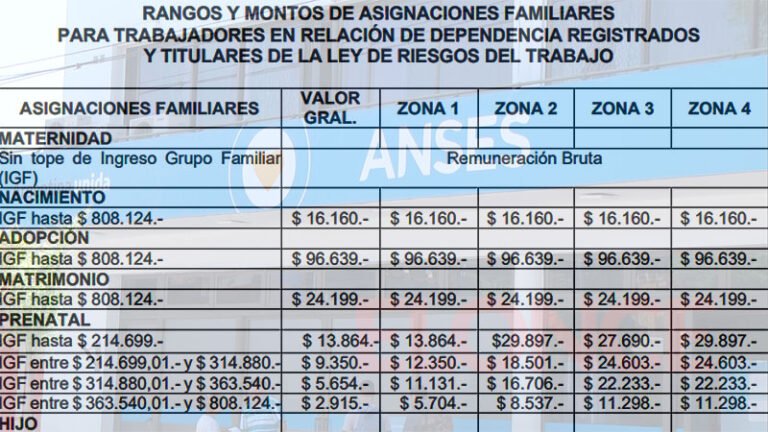 Cómo saber cuánto cobraré de la AUH