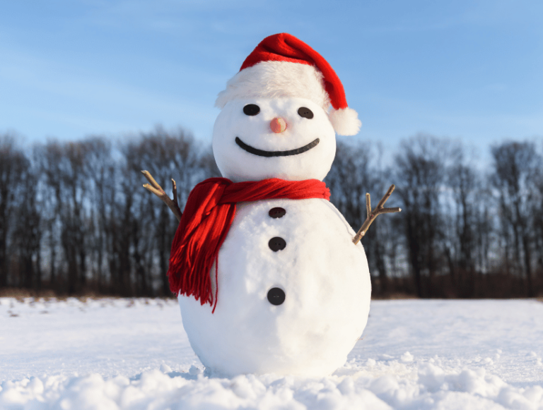 Quieres hacer un muñeco de nieve con tus amigos y familiares