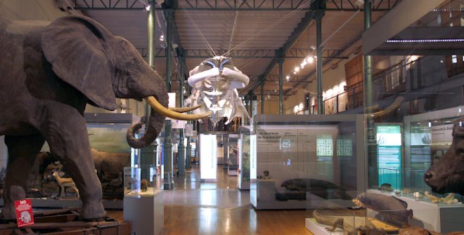 Qué día abre el Museo de Ciencias Naturales