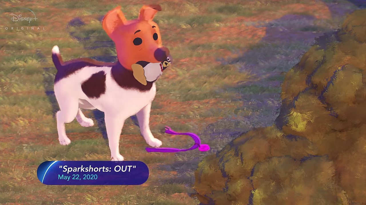 out sparkshorts