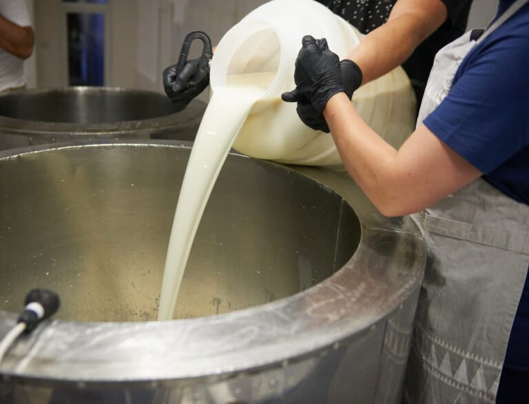 Qué características debe tener una máquina para pasteurizar leche