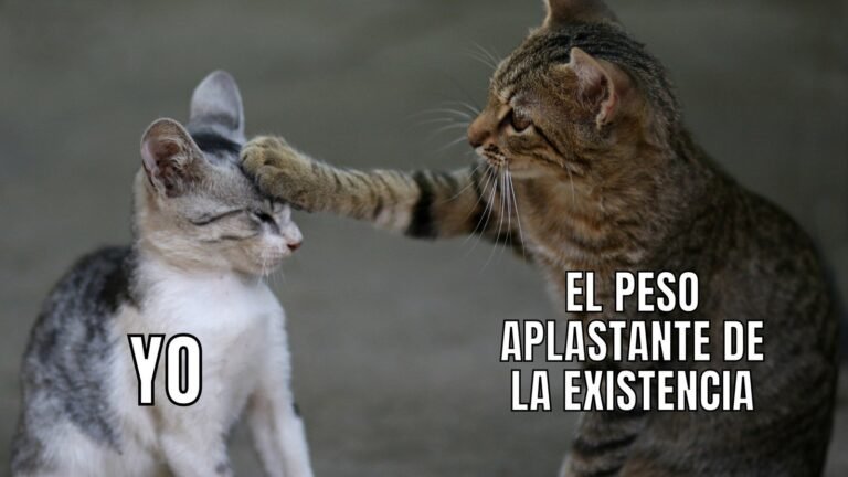 Dónde encontrar las mejores plantillas para hacer memes gratis