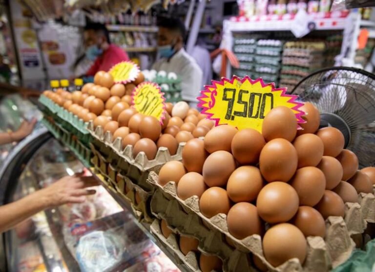 Cuánto cuesta actualmente una docena de huevos en tu país