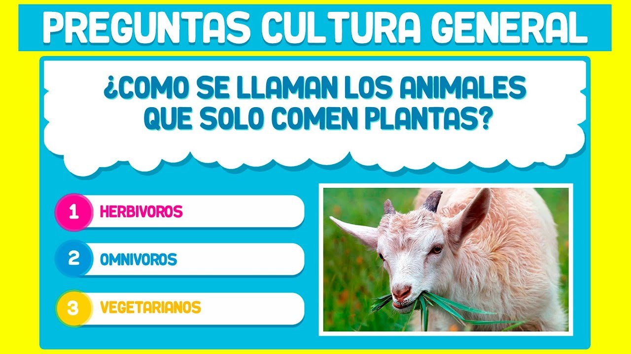 preguntas cultura