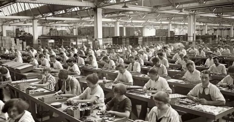 Cuándo se incorpora el artículo 14 bis