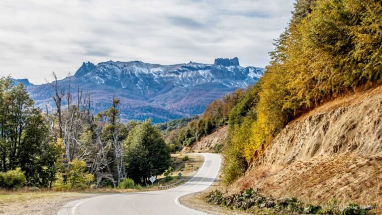 Dónde empieza y dónde termina la Ruta 40 en Argentina