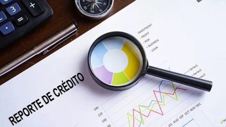 Cómo Consultar la Situación Crediticia por CUIT en Argentina