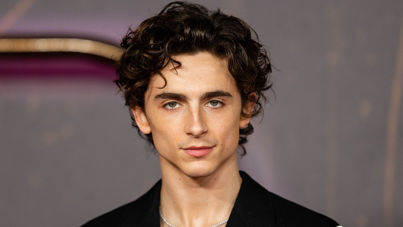 timothee chalamet