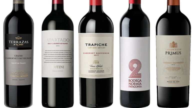 Cuáles son los mejores vinos argentinos que debes probar este año