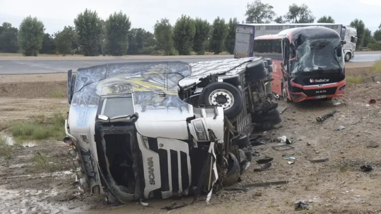 Cuáles son las consecuencias de un volcamiento de camión con cerdos